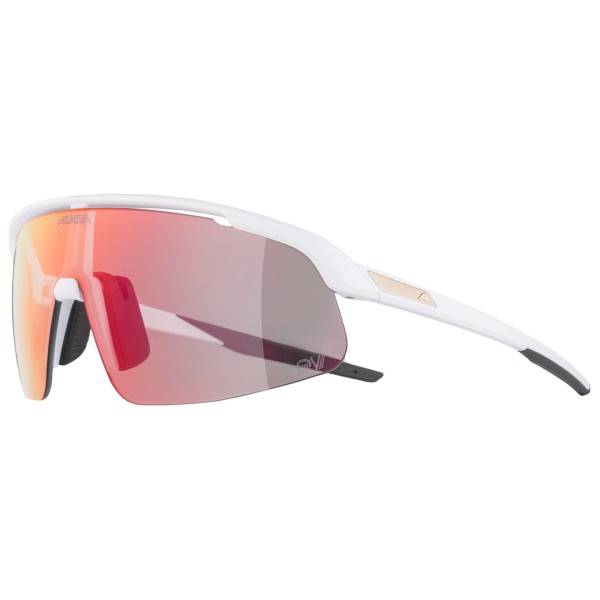 Sonnenbrille Alpina Turbo Pro S QV Mirror Photochromic S1-3 (schwarz)