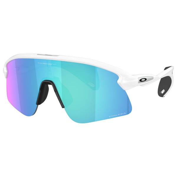 Oakley - Stunt Devil S S3 (VLT 12%) - Velobrille bunt
