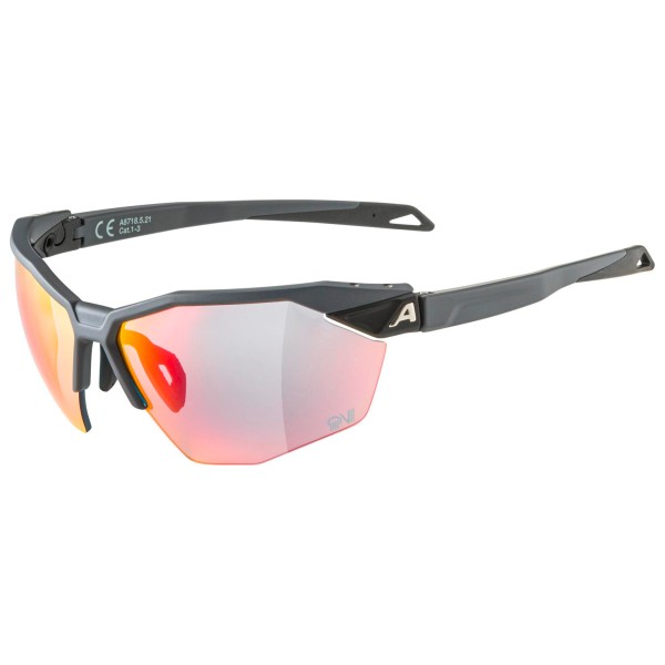 Alpina Twist Six HR QV Mirror S1-3 Fogstop Fahrradbrille (grau)