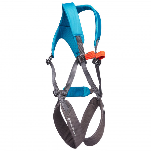 Image of Black Diamond - Kid"s Momentum Harness FL Body - Komplettgurt Gr One Size grau'