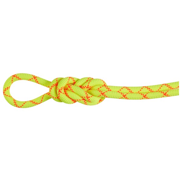 Image of Mammut - 9.5 Alpine Core Protect Dry Rope - Einfachseil Gr 30 m gelb