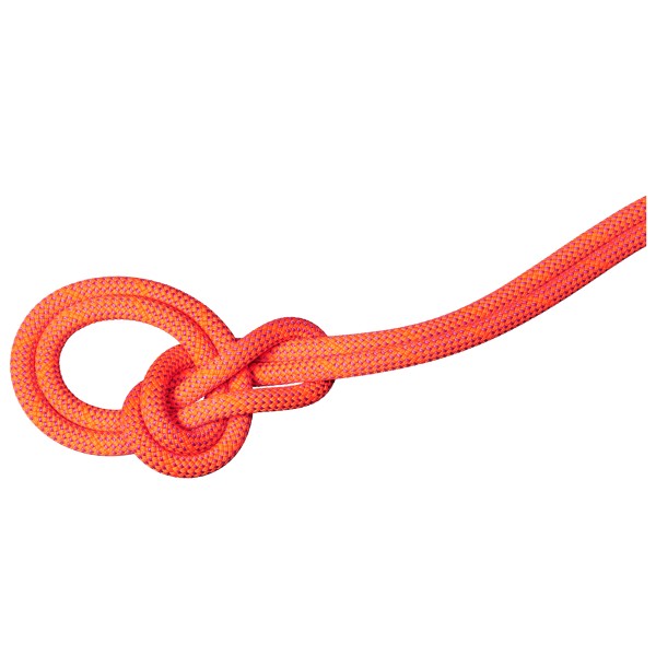 Mammut 98 Crag Dry Rope Einfachseil (Gr 50 m |rot)