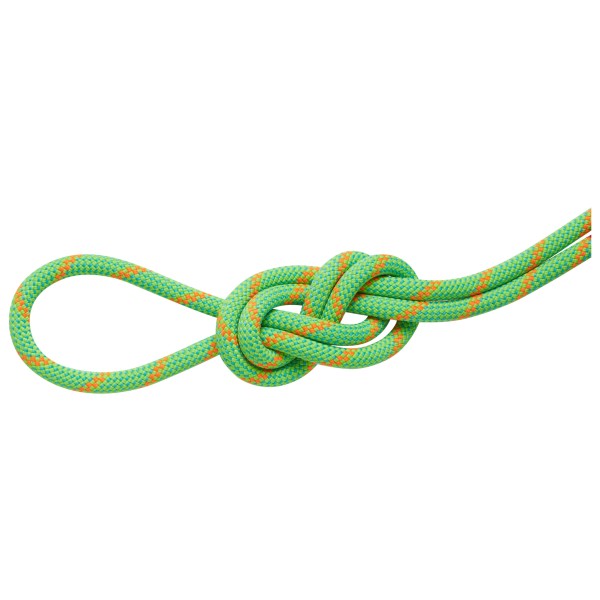 Mammut – 8.0 Alpine Dry Rope – Halftouw maat , Groen