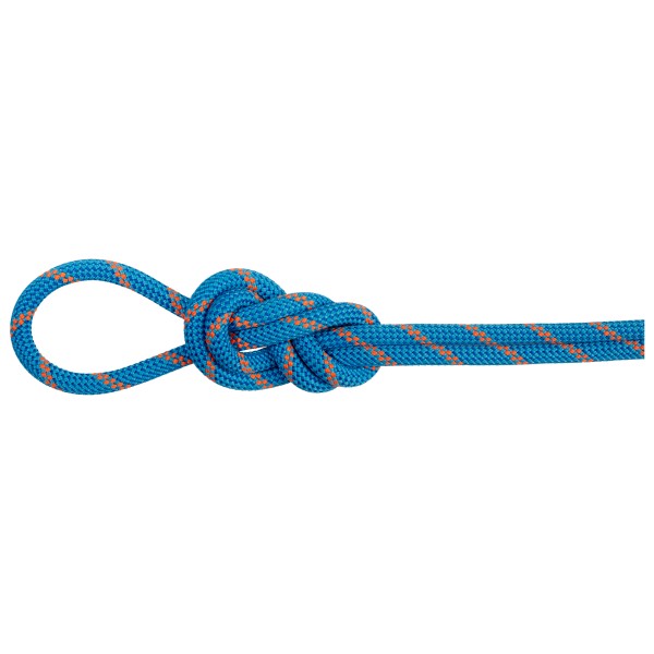 Mammut – 8.0 Alpine Dry Rope – Halftouw maat , / Blauw