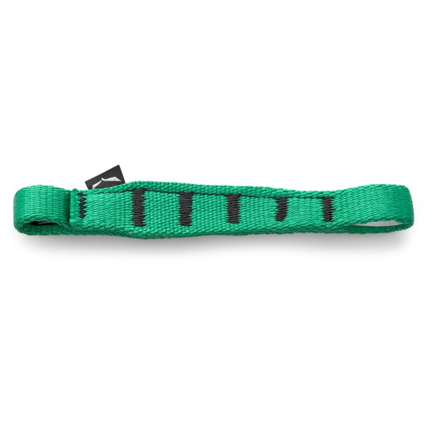 Salewa Ortles QD Sling 170 Express-slinge mm turkoois Turquoise