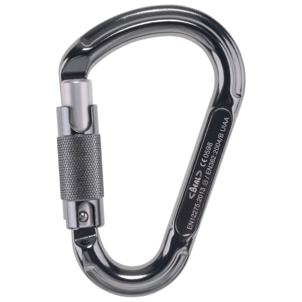 Image of Beal - Be Lock - Schraubkarabiner türkis bei Bergfreunde.ch - der Outdoor Shop