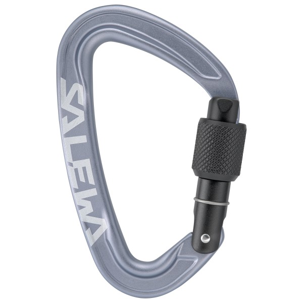 Salewa Ortles Screw Carabiner Schraubkarabiner (grau)
