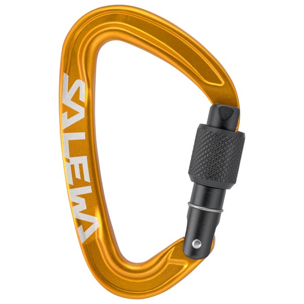 Salewa Ortles Screw Carabiner Schraubkarabiner (gelb)