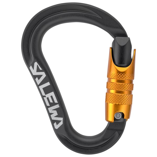 Salewa Ortles HMS C3 S Carabiner HMS-Karabiner (grau)