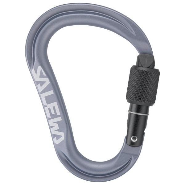 Salewa Ortles HMS M Carabiner HMS-Karabiner (grau)