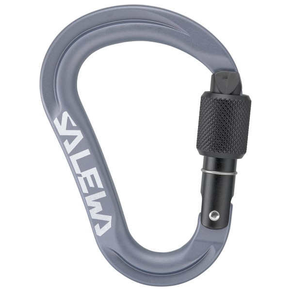 Salewa Ortles HMS S Carabiner HMS-Karabiner (grau)