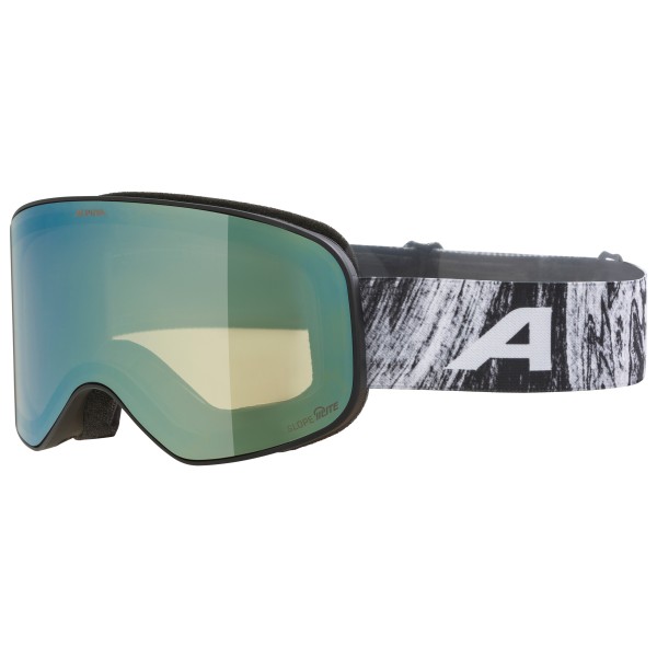Skibrille Alpina Slope Q-Lite S2 (bunt)