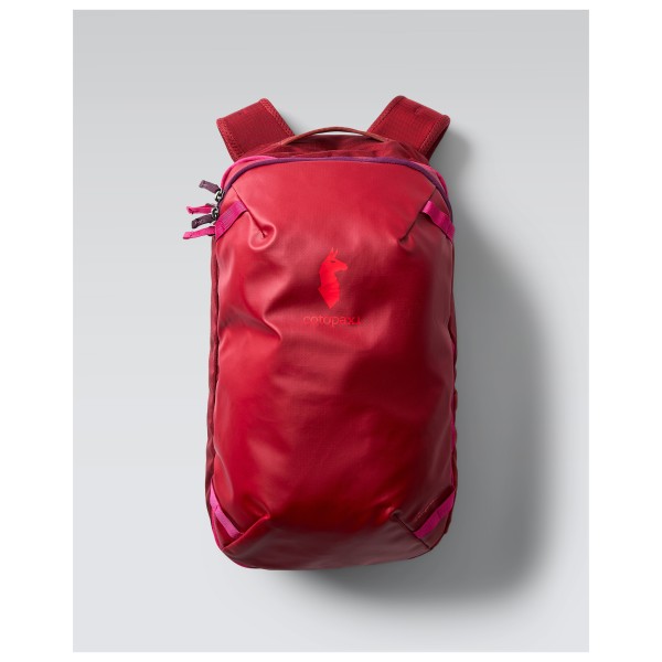 Cotopaxi Allpa 20 Mini Travel Pack Reistas Grijs