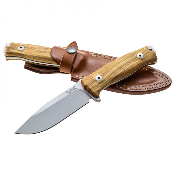 LionSteel – M5 – Mes maat , Bruin
