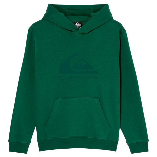 Quiksilver - Kid's Comp Logo Hoodie - Hoodie Gr 14 grün