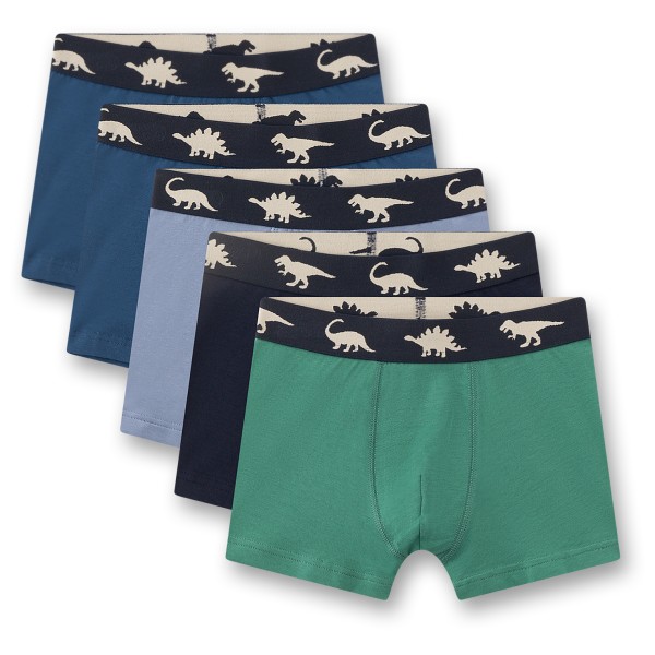 Sanetta - Boy's Set Shorts 5-Pack - Unterhose Gr 116 bunt