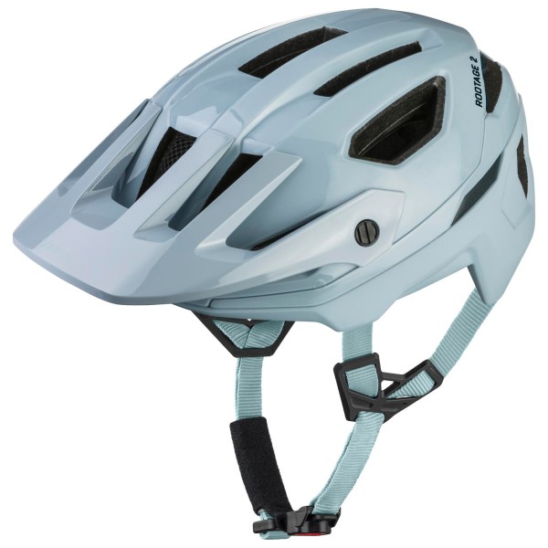 Alpina - Rootage 2 Mips - Radhelm Gr 59-61 cm grau