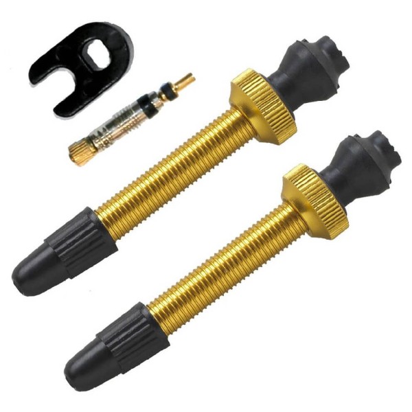 Image of Barbieri - Tubelessventil Alu SV - Veloventil Gr 45 mm;60 mm schwarz bei Bergfreunde.ch - der Outdoor Shop