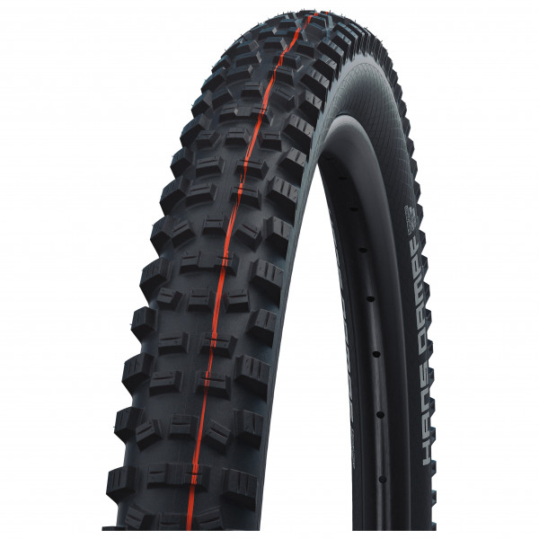 Image of Schwalbe - Hans Dampf Evo 29""' (60-622) Super Trail FB TLE - Pneus Gr 29"'"' x 2,35"'"' - 60-622'