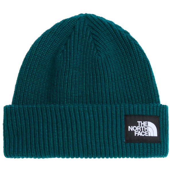 The North Face Salty Lined Beanie Muts Blauw