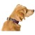 Detailbeeld 10 Hunter - Halsband Havanna - Hondenhalsband