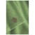 Detailbeeld 10 STAPF - Women's Ilona - Cardigan