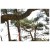 Detailbeeld 10 Nordic Pocket Saw - Arborist Version 2 - Zaag