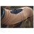 Detail image 11 Ruffwear - Timberline Fuse Fleece Vest - Dog coat