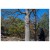 Detailbeeld 11 Nordic Pocket Saw - Arborist Version 2 - Zaag