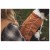 Detail image 12 Ruffwear - Overcoat Fuse Insulated Vest - Dog coat