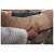 Detail image 12 Ruffwear - Timberline Fuse Fleece Vest - Dog coat