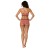 Imagen detallada 12 Stoic - Women's Merino150 SadjemSt. Bra - Ropa interior merino