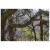 Detailbeeld 12 Nordic Pocket Saw - Arborist Version 2 - Zaag