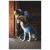 Detail image 2 Ruffwear - Powder Hound Waterproof Insulated Jacket - Dog coat