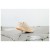 Detaljebillede 3 HYLO ATHLETICS - Axis - Running-sko