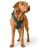 Detailbild 4 Hunter - Maldon 3.0 - Hundegeschirr