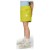 Imagen detallada 4 Mammut - Kid's Crag Climbing Shorts Mini - Pantalones de escalada