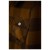 Imagen detallada 5 LAKOR - Birler Wool Jacket - Chaqueta sport