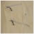 Detailbild 5 Stoic - LofsdalenSt. MTB Shorts - Velohose