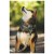 Imagen detallada 5 Ruffwear - Crag Leash - Correa para perro