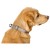 Detailbeeld 5 Hunter - Halsung Havanna - Hondenhalsband
