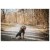 Detailbeeld 5 Hunter - Milford - Hondenjas