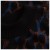Yksityiskohtainen kuva 5 DEDICATED - Women's Dress Lo Leopard - Mekko