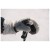 Detail image 5 Leki - Women's Glace 3D - Gloves