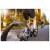 Detailbild 5 Michelin - Pro5 Competition Line TS TLR 28'' (28-622) - Fahrradreifen