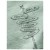 Detailbild 5 Chillaz - Women's Gandia Road To The Crag - T-Shirt