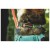 Imagen detallada 6 Ruffwear - Crag Leash - Correa para perro