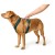 Detailbild 6 Hunter - Maldon 3.0 - Hundegeschirr