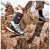 Imagen detallada 6 STOX Energy Socks - Women's Hiking Merino Ankle Socks - Calcetines de merino