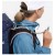 Detailbild 6 Millet - Women's Ubic 40 - Wanderrucksack